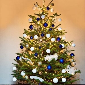 Kerstboom Amsterdam image 2