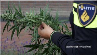 Vijf aanhoudingen na invallen vanwege drugshandel en witwassen