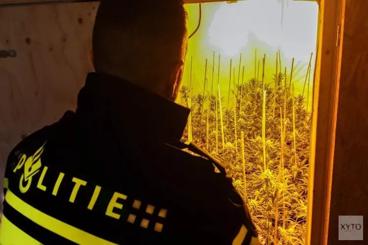 Gezocht: Zeven verdachten gezocht na oprollen hennepkwekerij