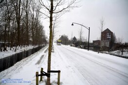 Winterse zondag in beeld