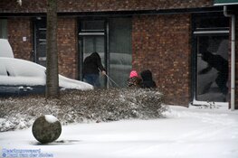 Winterse zondag in beeld