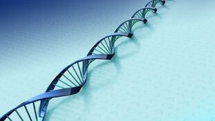 DNA-match leidt tot verdachte 21 jaar oude verkrachtingszaak