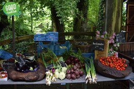 Fiets je duurzame maaltijd bij elkaar en help zo de natuur