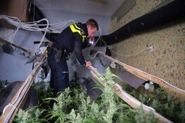 Hennepkwekerij en wapens aangetroffen in Soesterberg