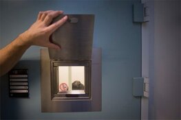 6 Jaar cel en tbs voor man die gevangenisbewaarder wilde doden