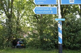 Onwel geworden automobilist rijdt struiken in