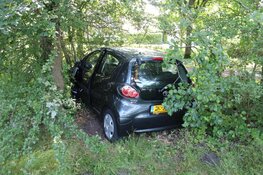 Onwel geworden automobilist rijdt struiken in