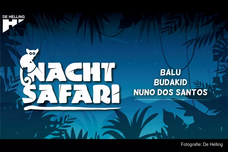 Ga mee op nachtsafari