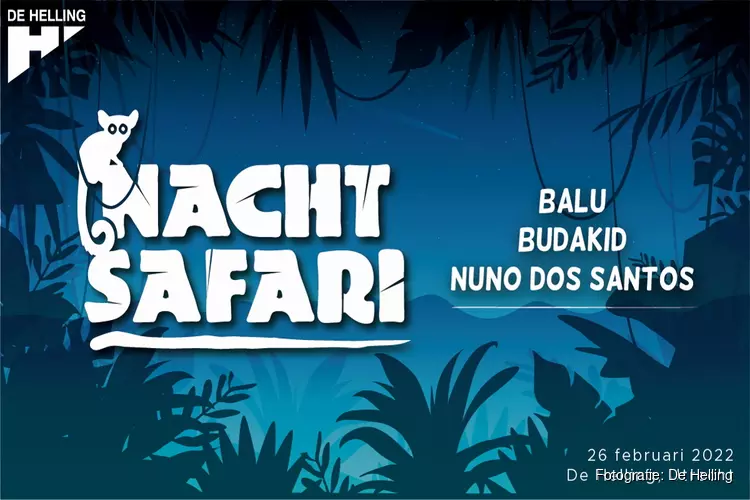 Ga mee op nachtsafari