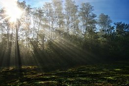 Start lente met zonovergoten weer