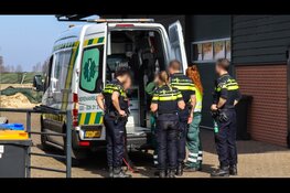 Groot aantal labradors aangetroffen tijdens succesvolle actie bij broodfokker