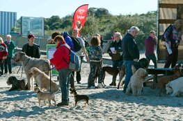 Hondenwandeling "Hart voor Kanker"