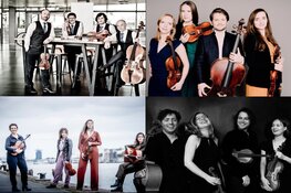 NSKA viert jubileum met optredens door 25 strijkkwartetten van jong tot oud
