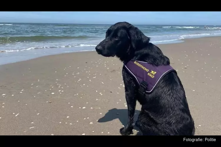 Buddyhond heeft meerwaarde voor agent met PTSS