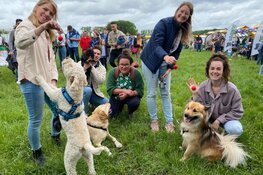 Honden wandelen voor strijd tegen kanker bij dieren