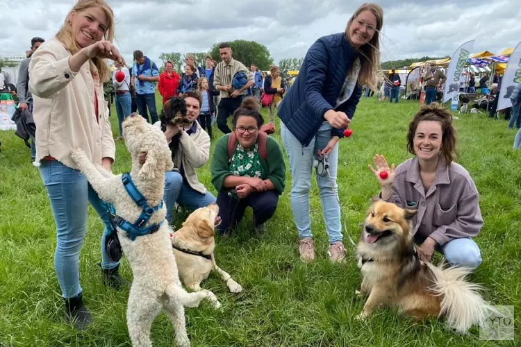 Honden wandelen voor strijd tegen kanker bij dieren