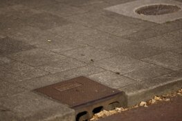 Gewonde bij schietincident in park Utrecht