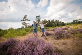 Geslaagde en zonnige vierde editie van het Soester Wandelweekend