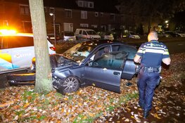 Auto crasht in Eemnes, inzittenden slaan op de vlucht