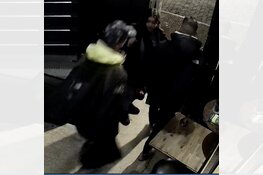 Gezocht: Diefstal schoudertas