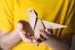 Stralende kindergezichten en trotse ouders op Japanse Kinderdag in Houten