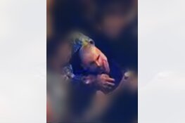 Utrecht - Gezocht - Zware mishandeling - Donkeregaard – Utrecht