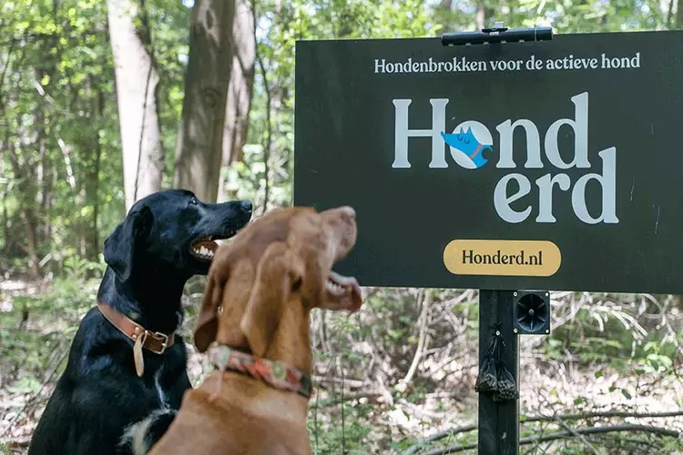 Wereldprimeur voor honden in Utrecht