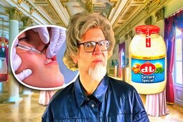 Filmpremiere "De Tubbies" in de Salon van Weleer