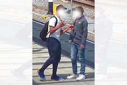 Gezocht: Mishandeling Stationshal - Utrecht, Breukelen