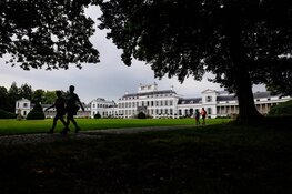 Bloeiende paarse heide decor voor 5e editie Soester Wandelweekend