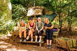 Bloeiende paarse heide decor voor 5e editie Soester Wandelweekend