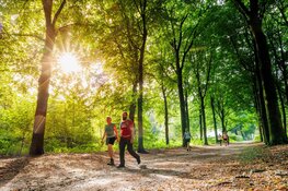 Bloeiende paarse heide decor voor 5e editie Soester Wandelweekend