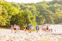 Bloeiende paarse heide decor voor 5e editie Soester Wandelweekend