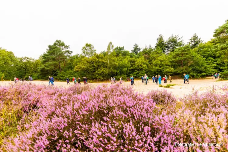 Pink Ribbon is de nieuwe titelpartner van het Soester Wandelweekend