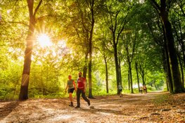 Pink Ribbon is de nieuwe titelpartner van het Soester Wandelweekend