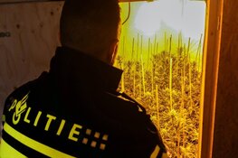 Sneeuwbui verraadt hennepkwekerij