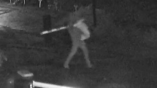 Diefstal van tientallen laptops