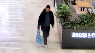 Gezocht: Diefstal tas Hoog Catherijne