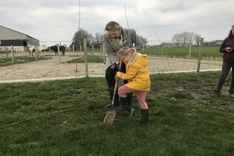 Extra 700.000 bomen planten door provincie Utrecht