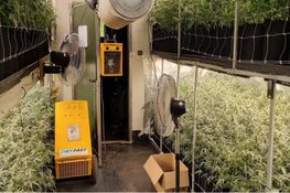 Professionele hennepkwekerij ontdekt in bedrijfspand