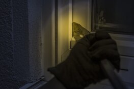 Vorig jaar kwart meer schuurinbraken in Utrecht