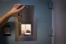 11 jaar cel voor man die partner met mes doodde