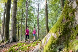 6e editie Pink Ribbon Soester Wandelweekend kleurt roze