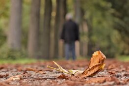4 op de 10 Nederlanders hebben angst- of depressiegevoelens
