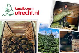 Kerstboom Kopen in Utrecht? Ontdek het Gemak van Kerstboom Utrecht