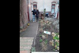 Een groene voortuin én persoonlijke Nieuwjaarsgroet voor huurders in Utrecht