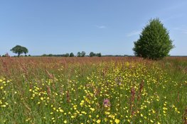 Uitspraak in stikstofzaak heeft ongekende impact