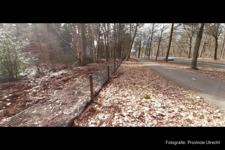 Maatregelen bij N415 in Baarn om dassen te beschermen