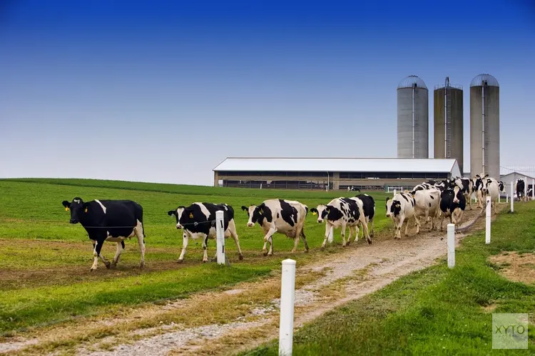 Extra geld voor 200 melkveehouders die willen verduurzamen