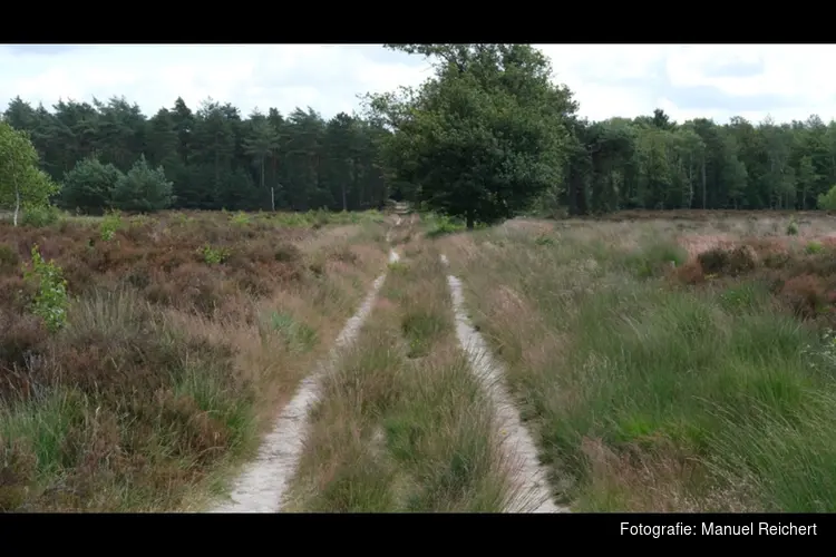 DNA-analyse bevestigt betrokkenheid wolf bij incident Den Treek – Henschoten